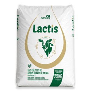 lactis nutricorp nutrição vacas leiteiras ração gado de leite