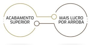 Nutrigordura terminacao nutricao nutricorp